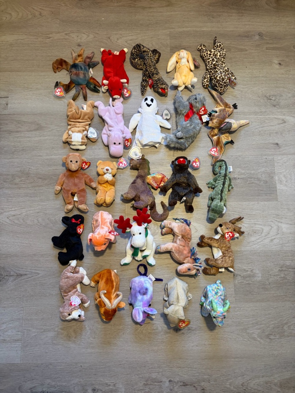 Ty Beanie Babies Plush Lot - Multicolor Assortment